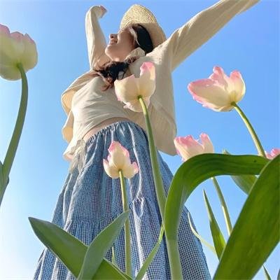档案风暴